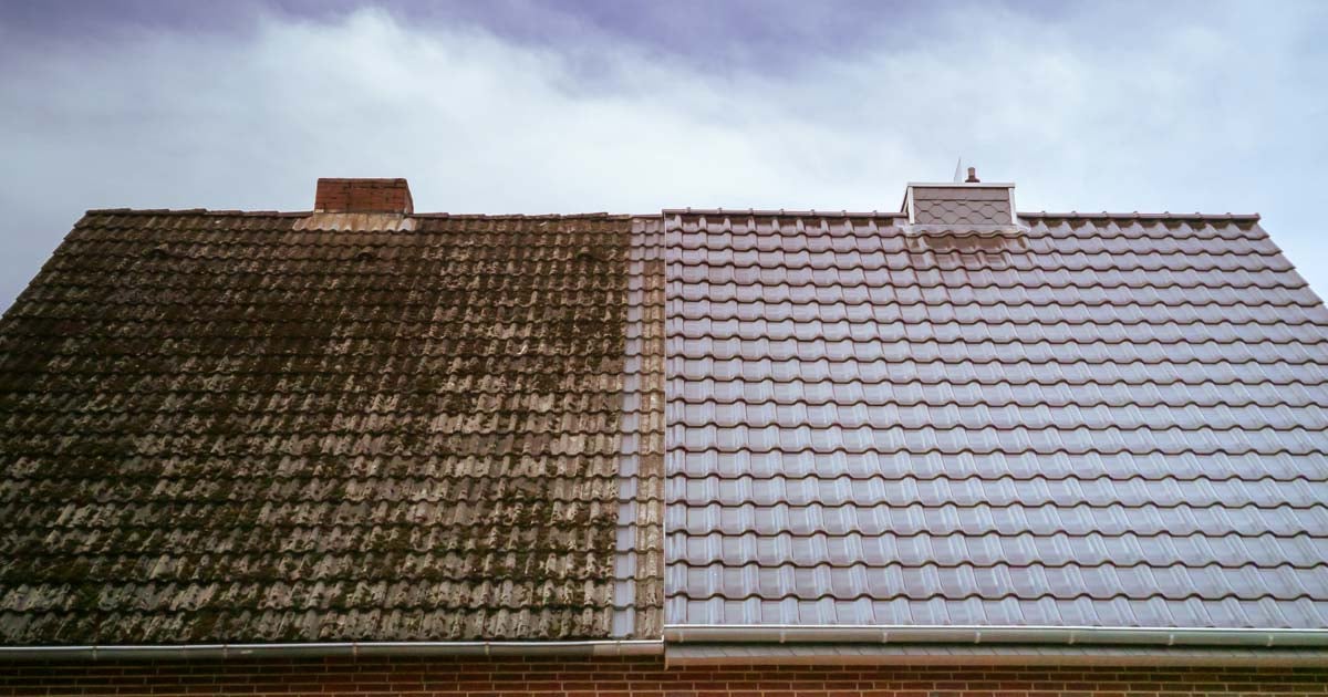 roof cleaning maintenance before after